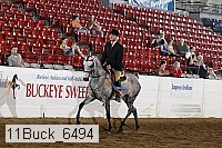 11buck_6494 thumbnail