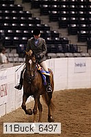 11buck_6497 thumbnail