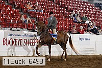 11buck_6498 thumbnail