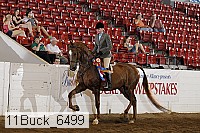 11buck_6499 thumbnail