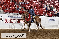 11buck_6501 thumbnail