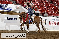 11buck_6502 thumbnail