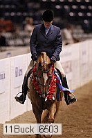 11buck_6503 thumbnail