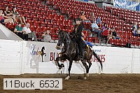 11buck_6532 thumbnail