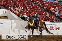 11buck_6542 thumbnail