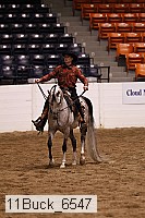 11buck_6547 thumbnail