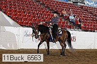 11buck_6563 thumbnail