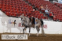 11buck_6571 thumbnail