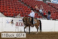 11buck_6574 thumbnail