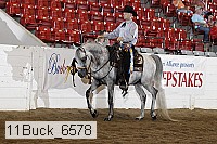 11buck_6578 thumbnail
