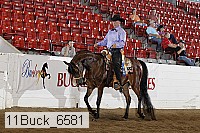 11buck_6581 thumbnail