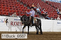 11buck_6587 thumbnail