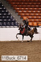 11buck_6714 thumbnail