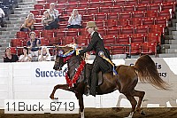 11buck_6719 thumbnail