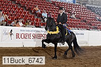 11buck_6742 thumbnail