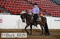 11buck_6929 thumbnail