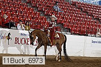 11buck_6973 thumbnail