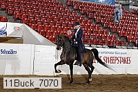 11buck_7070 thumbnail