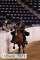 11buck_7071 thumbnail