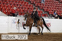 11buck_7072 thumbnail