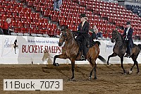 11buck_7073 thumbnail