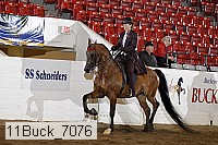 11buck_7076 thumbnail