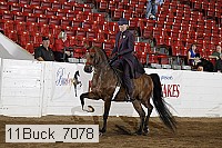 11buck_7078 thumbnail