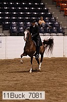 11buck_7081 thumbnail