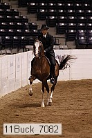 11buck_7082 thumbnail