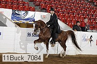 11buck_7084 thumbnail