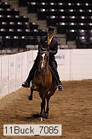 11buck_7085 thumbnail