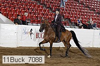11buck_7088 thumbnail