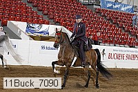 11buck_7090 thumbnail