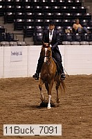 11buck_7091 thumbnail