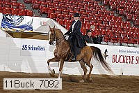 11buck_7092 thumbnail