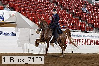 11buck_7129 thumbnail