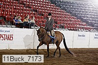 11buck_7173 thumbnail