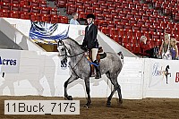 11buck_7175 thumbnail