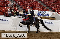 11buck_7258 thumbnail