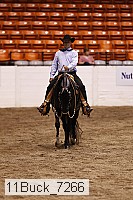 11buck_7266 thumbnail