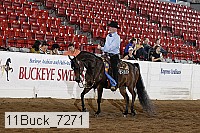 11buck_7271 thumbnail