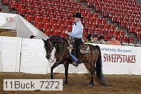 11buck_7272 thumbnail