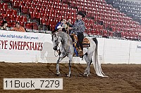 11buck_7279 thumbnail