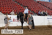 11buck_7293 thumbnail