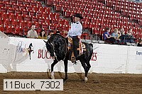 11buck_7302 thumbnail