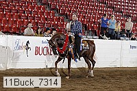 11buck_7314 thumbnail