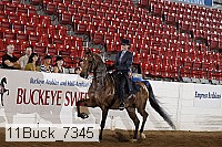 11buck_7345 thumbnail
