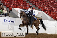 11buck_7350 thumbnail