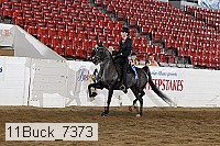 11buck_7373 thumbnail