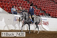 11buck_7420 thumbnail